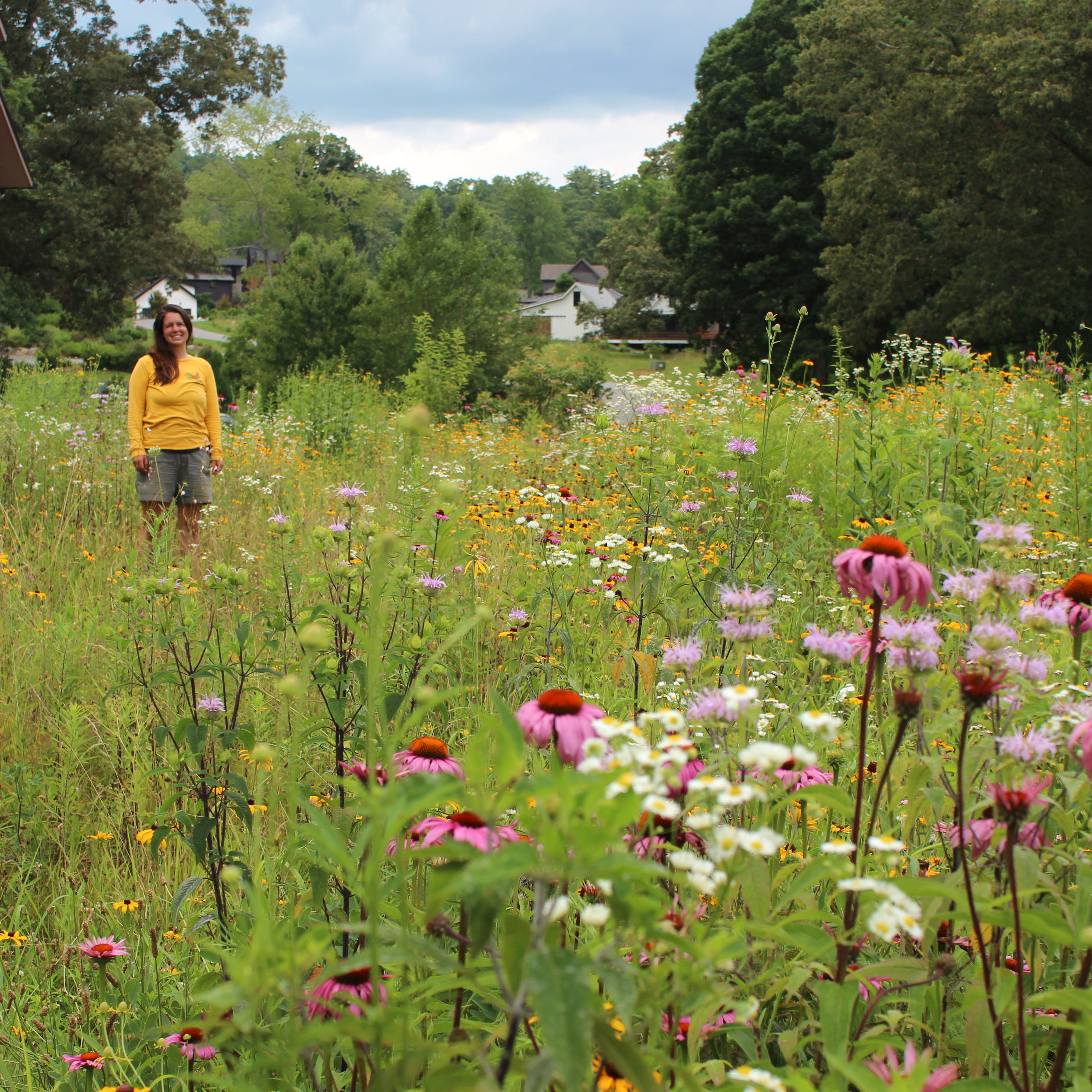 From Lawn to Meadow (Part I): Designing & Planting Native Meadows with Emily Sampson - logo